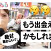 Thumbnail of related posts 031