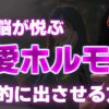 Thumbnail of related posts 025