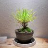 Thumbnail of related posts 171
